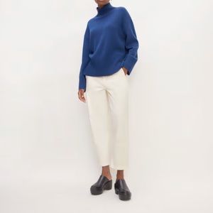 Everlane Utility Barrel Pant